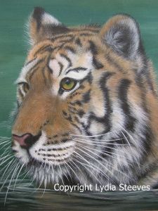 Young Tiger in the Water Acrylic e-Packet